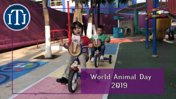 [P] World animal day 2019