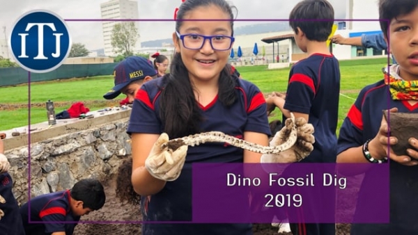 [P] Dino Fossil Dig 2019